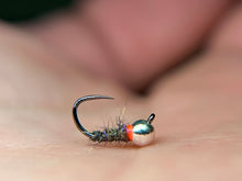Load image into Gallery viewer, Hot Spot Squirrel Walts Bomb(multiple colours)
