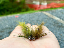 Load image into Gallery viewer, Cdc (Sculpin) Bug
