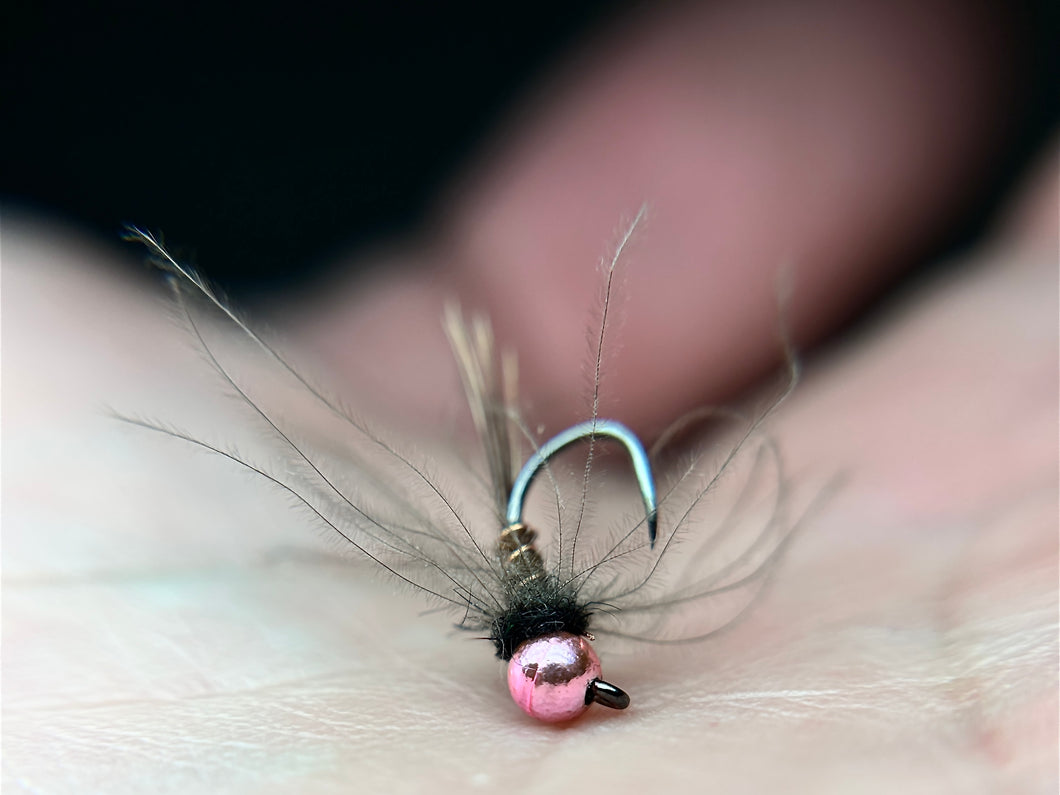 Pink Bead CDC Pheasant Tail
