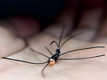 Load image into Gallery viewer, Micro Stonefly(multiple colors)
