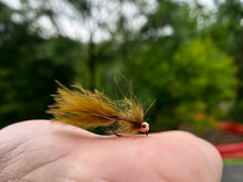 Load image into Gallery viewer, CDC Jig Leech(formerly known as "Bugger")
