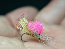 Load image into Gallery viewer, 20/20 Caddis
