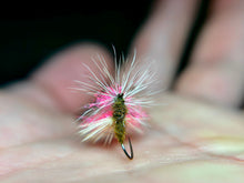 Load image into Gallery viewer, 20/20 Caddis
