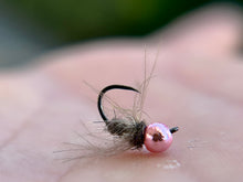 Load image into Gallery viewer, Cdc Walts (Budget Bugs)
