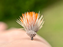 Load image into Gallery viewer, Miller’s Clueless Caddis
