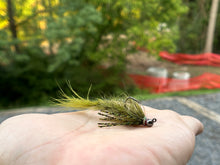 Load image into Gallery viewer, Cdc (Sculpin) Bug
