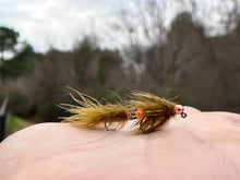 Load image into Gallery viewer, Cdc Leech-articulated
