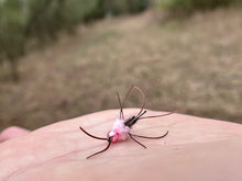 Load image into Gallery viewer, UV Egg Sucking Girdle Bug
