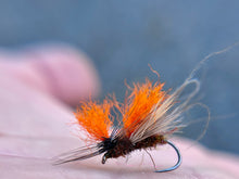 Load image into Gallery viewer, 20/20 Caddis (Duo &amp; Std.)
