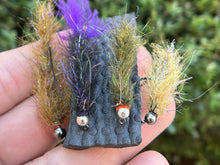 Load image into Gallery viewer, Cdc Bug 4 pack (limited avail.)
