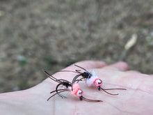 Load image into Gallery viewer, UV Egg Sucking Girdle Bug
