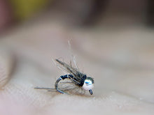 Load image into Gallery viewer, CDC Zebra Jig(multiple colours)
