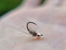 Load image into Gallery viewer, Cdc Walts (Budget Bugs)
