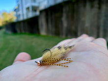 Load image into Gallery viewer, Jig Rubber Leg Sculpin(Mult. Colours)
