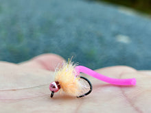 Load image into Gallery viewer, Egg Sucking Squirm
