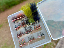 Load image into Gallery viewer, Confidence Flies Box
