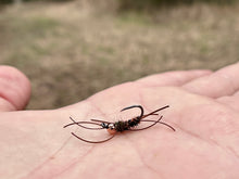 Load image into Gallery viewer, Jig Girdle Bug(multiple colors)
