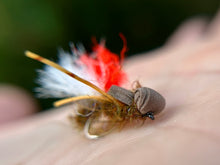 Load image into Gallery viewer, Bloodshot Hopper('duo' and std.)
