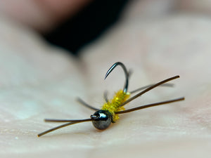 Micro Stonefly(multiple colors)