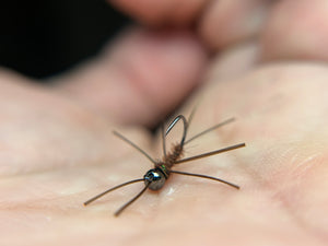 Micro Stonefly(multiple colors)