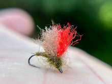 Load image into Gallery viewer, Drop Top Caddis (Duo Loop &amp; Std.)
