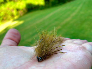 Bedhead Sculpin