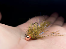 Load image into Gallery viewer, Cdc Leech-articulated
