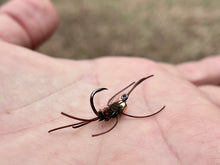 Load image into Gallery viewer, Jig Girdle Bug(multiple colors)
