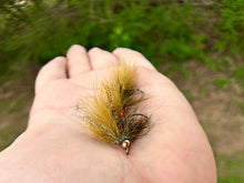 Load image into Gallery viewer, Galloup’s (mini) Peanut Envy-Tungsten Beadhead(multiple colors)
