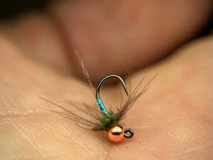 Egan’s CDC Rainbow Warrior Olive