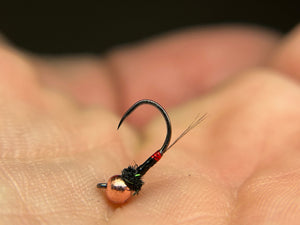 Black n’ Red BQ Nymph