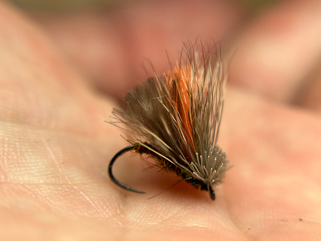 Miller’s Clueless Caddis